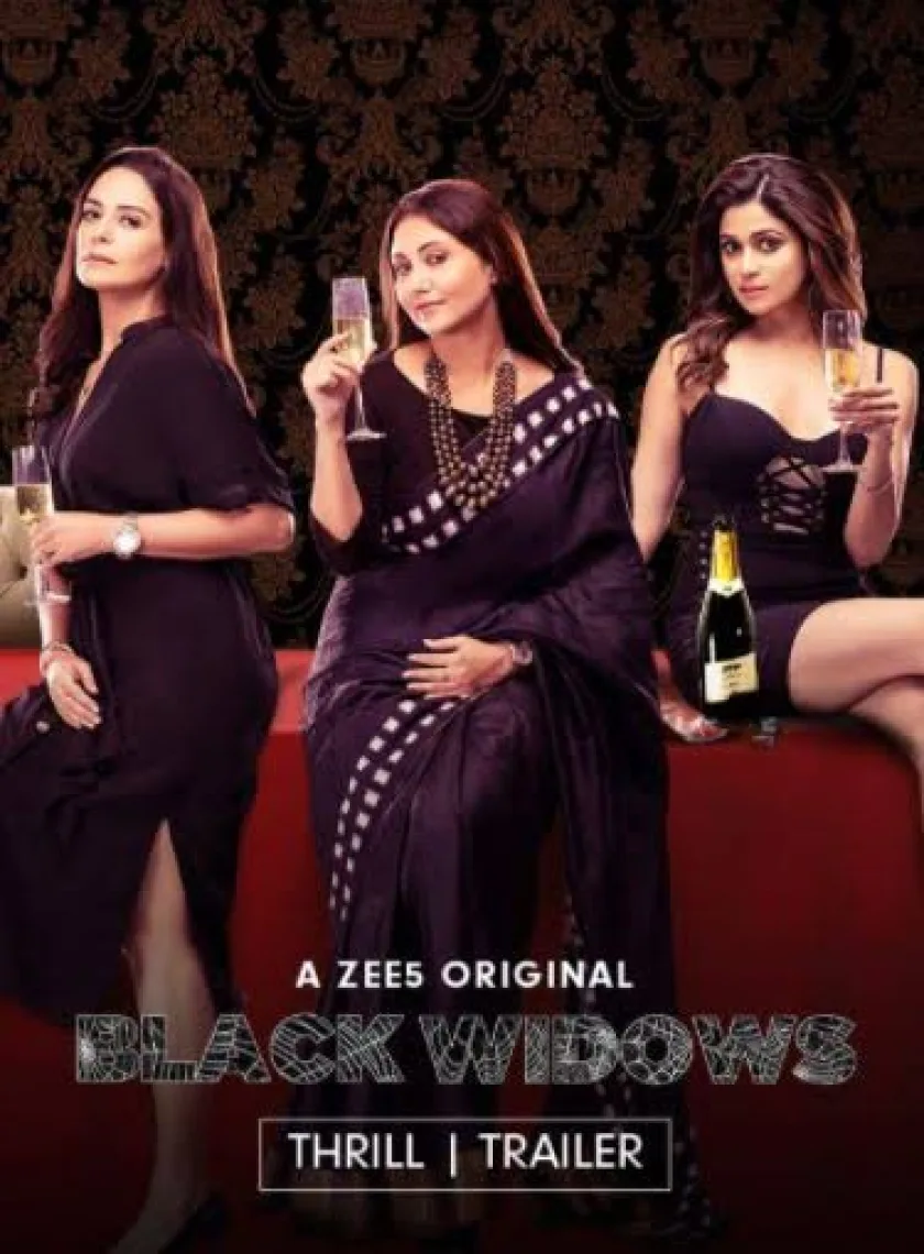 Black Widows (2020) Hindi Completed Web Series HEVC