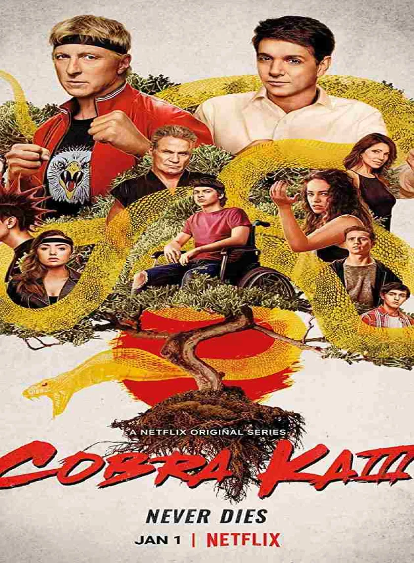 Cobra Kai S03 (2021) Hindi Completed Web Series HEVC