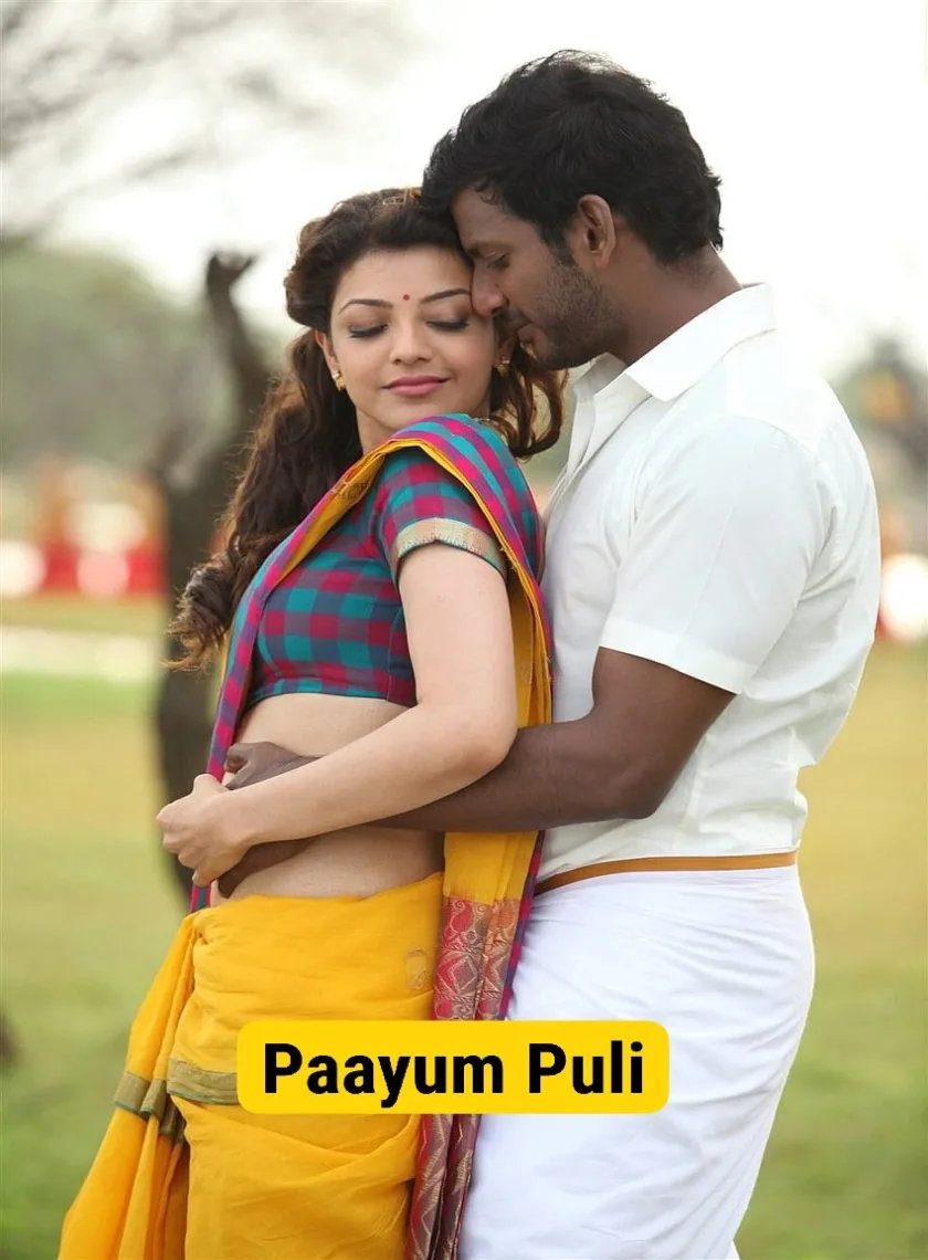 Main Hoon Rakshak (Paayum Puli) (2015) {Hindi + Tamil} Dual Audio UnCut Movie HD ESub