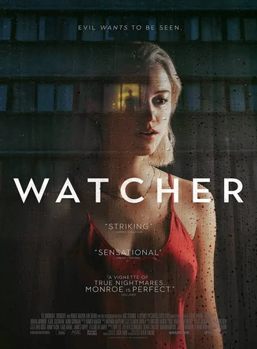 The Watcher S1 (2022) Hindi Completed Web Series HEVC ESub