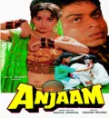 Anjaam (1994) Bollywood Hindi Full Movie HD ESub
