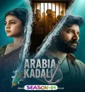 Arabia Kadali S01 (2025) Hindi Completed Web Series HEVC ESub