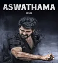 Aswathama (2020) (Hindi + Telugu) Dual Audio UnCut Movie HD ESub