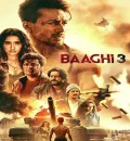 Baaghi 3 (2020) Bollywood Hindi Movie BluRay HD ESub