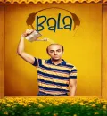 Bala (2019) Bollywood Hindi Movie HD ESub