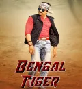 Bengal Tiger (2015) {Hindi + Telugu} Dual Audio UnCut Movie HD ESub
