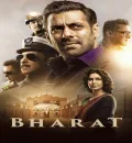 Bharat (2019) Bollywood Hindi Movie HD ESub