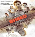 Bheed (2023) Bollywood Hindi Full Movie HD ESub