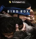 Bird Box (2018) Hollywood Hindi [Fan Dubbed] Movie HD