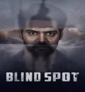 Blind Spot (2025) (Hindi + Telugu) Dual Audio UnCut South Movie HD ESub