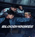 Bloodhounds S02 (2026) (Hindi + English) Dual Audio Completed Web Series HEVC ESub