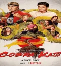 Cobra Kai S03 (2021) Hindi Completed Web Series HEVC
