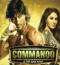 Commando (2013) Bollywood Hindi Full Movie HEVC Blu-Ray
