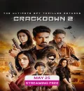 Crackdown S2 (2023) Hindi Web Series HEVC ESub