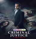 Criminal Justice - A Family Matter S04 (2025) Hindi Completed Web Series HEVC ESub