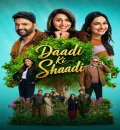 Daadi Ki Shaadi (2026) Bollywood Hindi Movie HD ESub