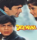 Deewana (1992) Bollywood Hindi Movie Webdl ESub