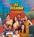 Dil Bekaraar S1 (2021) Hindi Completed Web Series HEVC ESub