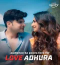 Love Adhura S01 (2024) Hindi Completed Web Series HEVC ESub