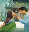 Next Enti (2018) (Hindi + Telugu) Dual Audio UnCut South Movie HD ESub