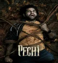 Pechi (2024) (Hindi + Tamil) Dual Audio UnCut South Movie HD ESub