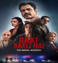 Raat Akeli Hai - The Bansal Murders (2025) Bollywood Hindi Movie HD ESub