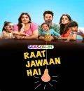 Raat Jawaan Hai S01 (2024) Hindi Completed Web Series HEVC ESub