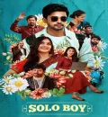 Solo Boy (2025) (Hindi + Telugu) Dual Audio UnCut South Movie HD ESub