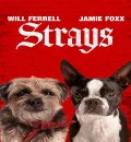 Strays (2023) (Hindi + English) Dual Audio Hollywood Movie BluRay HD ESub