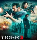 Tiger 3 (2023) Bollywood Hindi Full Movie HD ESub