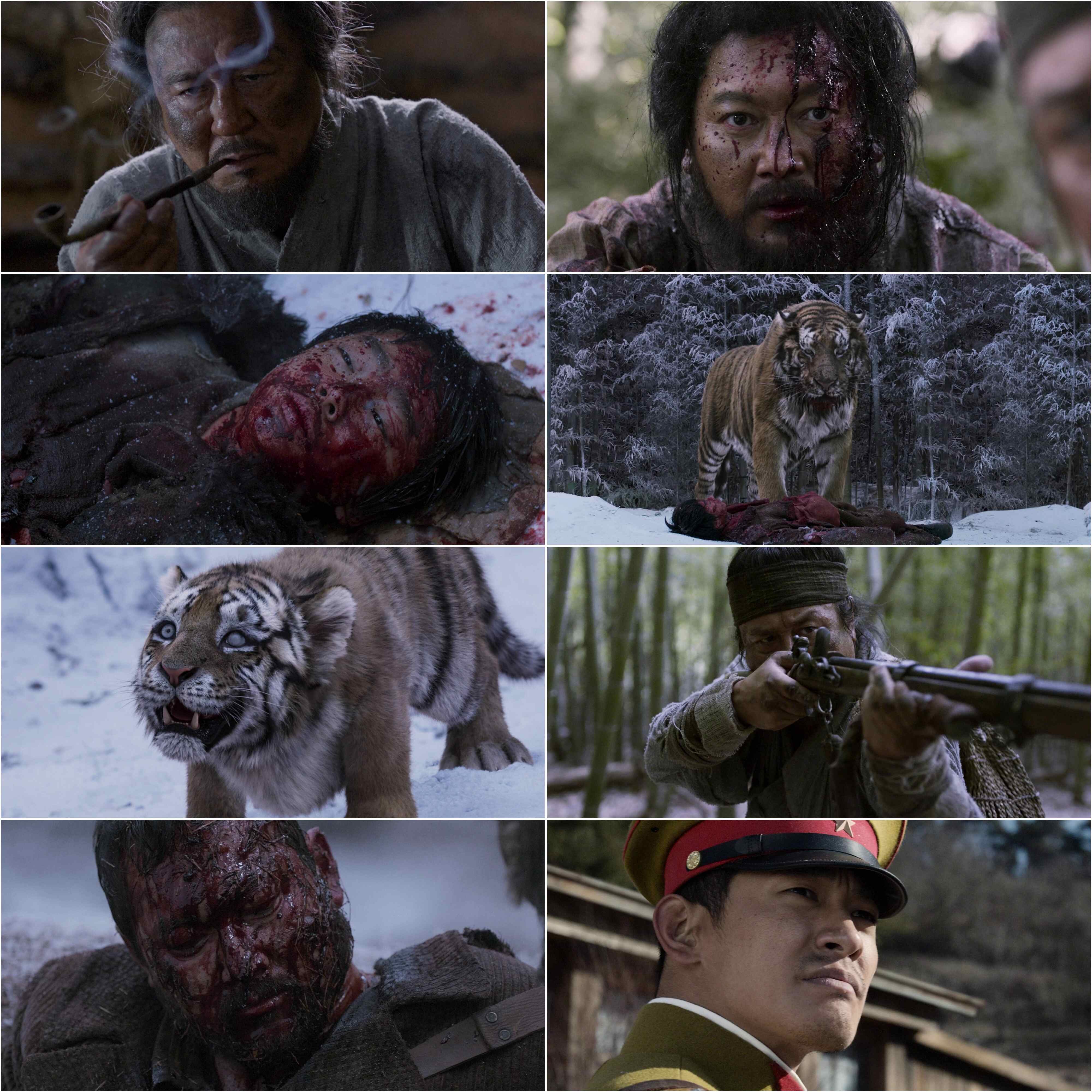 The Tiger (2015) (Hindi + Korean) Dual Audio Hollywood Movie BluRay HD ESub screenshot
